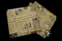 BOLSA ANTIGRASA PAPEL KRAFT 17X17 100UD (1)