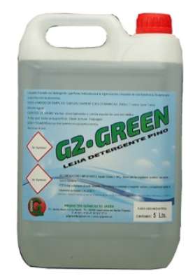 G2 LEJIA DETERGENTE PINO 5 L.