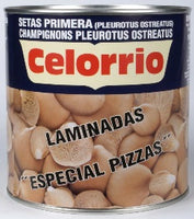 SETAS LAMINADAS CELORRIO 3KG