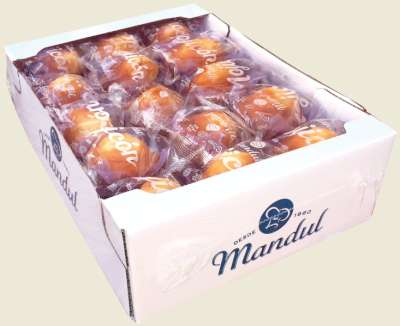 MOJICON CAJA DE 1,8 KG