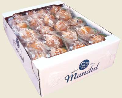 MOJICON SIN AZUCAR CAJA 1,5 KG
